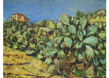 Terra siciliana (Campagna di Licata) Terra siciliana (Campagna di Licata)